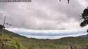 ./images/calvert/fitz-hugh-hecate/20260726/fitz-hugh-hecate20260726_115001M.jpg