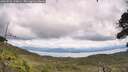 ./images/calvert/fitz-hugh-hecate/20260726/fitz-hugh-hecate20260726_132002M.jpg