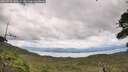 ./images/calvert/fitz-hugh-hecate/20260726/fitz-hugh-hecate20260726_140501M.jpg