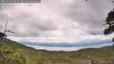 ./images/calvert/fitz-hugh-hecate/20260726/fitz-hugh-hecate20260726_141001M.jpg