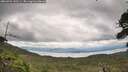 ./images/calvert/fitz-hugh-hecate/20260726/fitz-hugh-hecate20260726_142501M.jpg