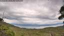 ./images/calvert/fitz-hugh-hecate/20260726/fitz-hugh-hecate20260726_145501M.jpg