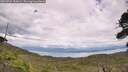 ./images/calvert/fitz-hugh-hecate/20260726/fitz-hugh-hecate20260726_152002M.jpg