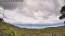 ./images/calvert/fitz-hugh-hecate/20260726/fitz-hugh-hecate20260726_153501M.jpg