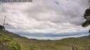 ./images/calvert/fitz-hugh-hecate/20260726/fitz-hugh-hecate20260726_155501M.jpg