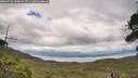 ./images/calvert/fitz-hugh-hecate/20260726/fitz-hugh-hecate20260726_160001M.jpg