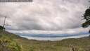 ./images/calvert/fitz-hugh-hecate/20260726/fitz-hugh-hecate20260726_161001M.jpg