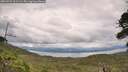 ./images/calvert/fitz-hugh-hecate/20260726/fitz-hugh-hecate20260726_161501M.jpg