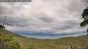 ./images/calvert/fitz-hugh-hecate/20260726/fitz-hugh-hecate20260726_170001M.jpg