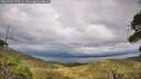 ./images/calvert/fitz-hugh-hecate/20260726/fitz-hugh-hecate20260726_170501M.jpg