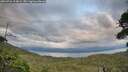 ./images/calvert/fitz-hugh-hecate/20260726/fitz-hugh-hecate20260726_204001M.jpg