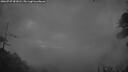 ./images/calvert/fitz-hugh-hecate/20260727/fitz-hugh-hecate20260727_051001M.jpg