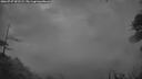./images/calvert/fitz-hugh-hecate/20260727/fitz-hugh-hecate20260727_051502M.jpg