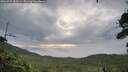 ./images/calvert/fitz-hugh-hecate/20260727/fitz-hugh-hecate20260727_055001M.jpg