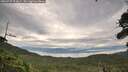 ./images/calvert/fitz-hugh-hecate/20260727/fitz-hugh-hecate20260727_072001M.jpg