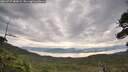 ./images/calvert/fitz-hugh-hecate/20260727/fitz-hugh-hecate20260727_081001M.jpg