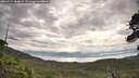 ./images/calvert/fitz-hugh-hecate/20260727/fitz-hugh-hecate20260727_084001M.jpg