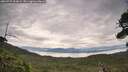 ./images/calvert/fitz-hugh-hecate/20260727/fitz-hugh-hecate20260727_090001M.jpg