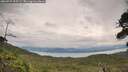 ./images/calvert/fitz-hugh-hecate/20260727/fitz-hugh-hecate20260727_095501M.jpg