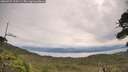 ./images/calvert/fitz-hugh-hecate/20260727/fitz-hugh-hecate20260727_100501M.jpg
