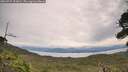 ./images/calvert/fitz-hugh-hecate/20260727/fitz-hugh-hecate20260727_101001M.jpg