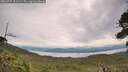 ./images/calvert/fitz-hugh-hecate/20260727/fitz-hugh-hecate20260727_101501M.jpg