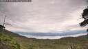 ./images/calvert/fitz-hugh-hecate/20260727/fitz-hugh-hecate20260727_103501M.jpg