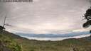 ./images/calvert/fitz-hugh-hecate/20260727/fitz-hugh-hecate20260727_104001M.jpg