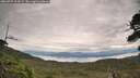 ./images/calvert/fitz-hugh-hecate/20260727/fitz-hugh-hecate20260727_104501M.jpg