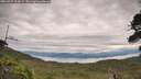 ./images/calvert/fitz-hugh-hecate/20260727/fitz-hugh-hecate20260727_110001M.jpg