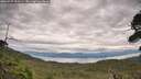 ./images/calvert/fitz-hugh-hecate/20260727/fitz-hugh-hecate20260727_111501M.jpg
