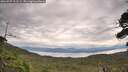 ./images/calvert/fitz-hugh-hecate/20260727/fitz-hugh-hecate20260727_112501M.jpg