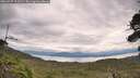 ./images/calvert/fitz-hugh-hecate/20260727/fitz-hugh-hecate20260727_113501M.jpg