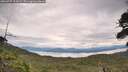 ./images/calvert/fitz-hugh-hecate/20260727/fitz-hugh-hecate20260727_114501M.jpg