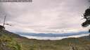 ./images/calvert/fitz-hugh-hecate/20260727/fitz-hugh-hecate20260727_115501M.jpg