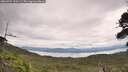./images/calvert/fitz-hugh-hecate/20260727/fitz-hugh-hecate20260727_120501M.jpg