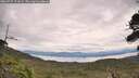 ./images/calvert/fitz-hugh-hecate/20260727/fitz-hugh-hecate20260727_121001M.jpg