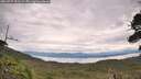 ./images/calvert/fitz-hugh-hecate/20260727/fitz-hugh-hecate20260727_121501M.jpg