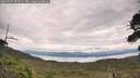 ./images/calvert/fitz-hugh-hecate/20260727/fitz-hugh-hecate20260727_122501M.jpg