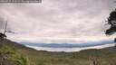 ./images/calvert/fitz-hugh-hecate/20260727/fitz-hugh-hecate20260727_123501M.jpg