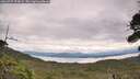 ./images/calvert/fitz-hugh-hecate/20260727/fitz-hugh-hecate20260727_124501M.jpg