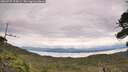 ./images/calvert/fitz-hugh-hecate/20260727/fitz-hugh-hecate20260727_125001M.jpg