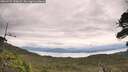 ./images/calvert/fitz-hugh-hecate/20260727/fitz-hugh-hecate20260727_130001M.jpg