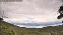 ./images/calvert/fitz-hugh-hecate/20260727/fitz-hugh-hecate20260727_131002M.jpg