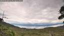 ./images/calvert/fitz-hugh-hecate/20260727/fitz-hugh-hecate20260727_132501M.jpg