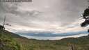 ./images/calvert/fitz-hugh-hecate/20260727/fitz-hugh-hecate20260727_134001M.jpg