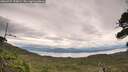 ./images/calvert/fitz-hugh-hecate/20260727/fitz-hugh-hecate20260727_135001M.jpg