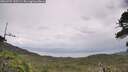 ./images/calvert/fitz-hugh-hecate/20260727/fitz-hugh-hecate20260727_143501M.jpg