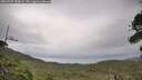 ./images/calvert/fitz-hugh-hecate/20260727/fitz-hugh-hecate20260727_150001M.jpg