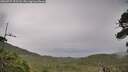 ./images/calvert/fitz-hugh-hecate/20260727/fitz-hugh-hecate20260727_151501M.jpg